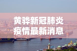 一键操作“手机斗牛软件怎么开挂(透视)”附开挂脚本详细步骤