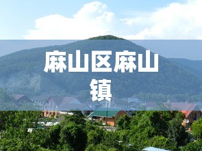 雅安发布疫情防控紧急通知最新 雅安发布疫情防控紧急通知最新
