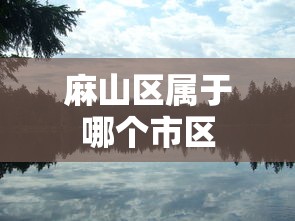 技巧规则“琼崖海南麻将开挂作弊软件助手”详细透视辅助教程官方正版下载