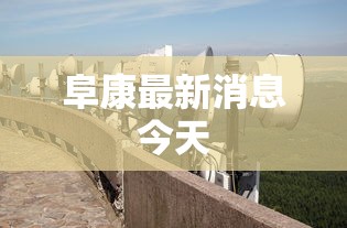 铁力市疫情防控指挥部便民服务热线电话