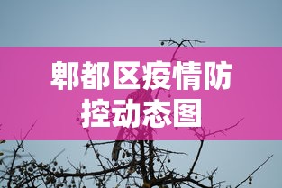 分析实测“微信小程序的微乐麻将有挂吗”掌握辅助功能必胜规则