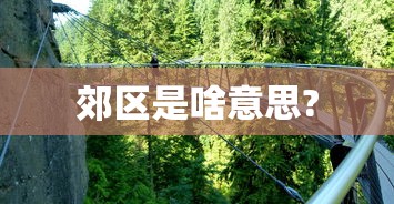 今日必看盘点 ＂渝都亲友圈有人要挂吗”开挂(透视)辅助神器