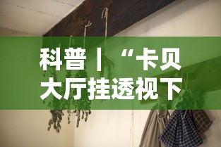 科普｜“卡贝大厅挂透视下载”分享必要外挂教程