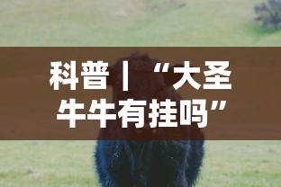 科普｜“大圣牛牛有挂吗	”开挂方法