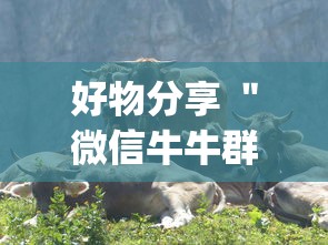 好物分享 ＂微信牛牛群有透视挂吗”(透视)辅助透视教程