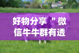 好物分享 ＂微信牛牛群有透视挂吗	”(透视)辅助透视教程