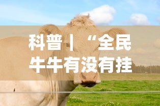 科普｜“全民牛牛有没有挂”(透视)其实确实有挂