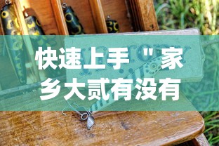 快速上手 ＂家乡大贰有没有人开挂	”(原来确实是有挂)