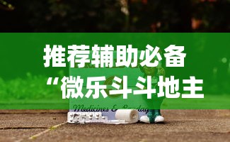 推荐辅助必备“微乐斗斗地主可以买挂吗”(原来确实是有插件)